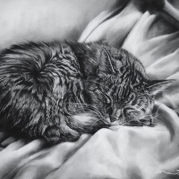 Custom Cat Portrait Drawing by Katie Emmitt Art