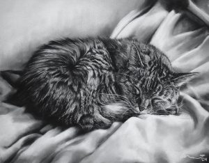 Custom Cat Portrait Drawing by Katie Emmitt Art