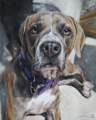 Katie Emmitt Art - Dog Pastel Portrait