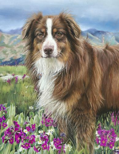 Katie Emmitt Art - Dog Pastel Portrait