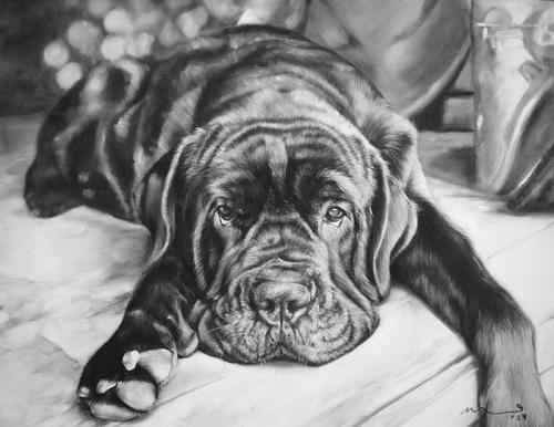 Katie Emmitt Art - Dog Pastel Portrait