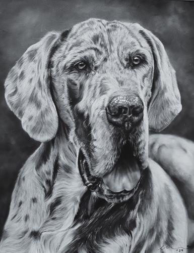 Katie Emmitt Art - Dog Pastel Portrait