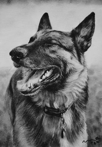 Katie Emmitt Art - Dog Pastel Portrait