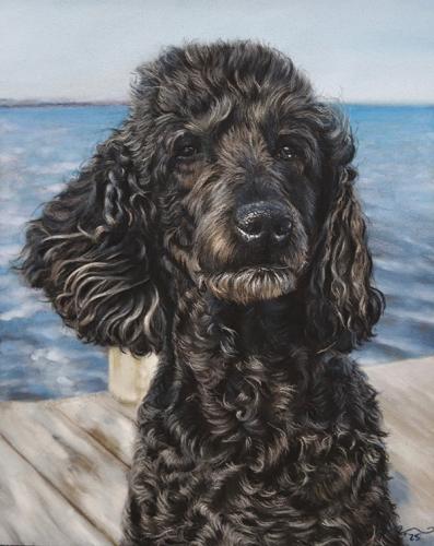 Katie Emmitt Art - Dog Pastel Portrait